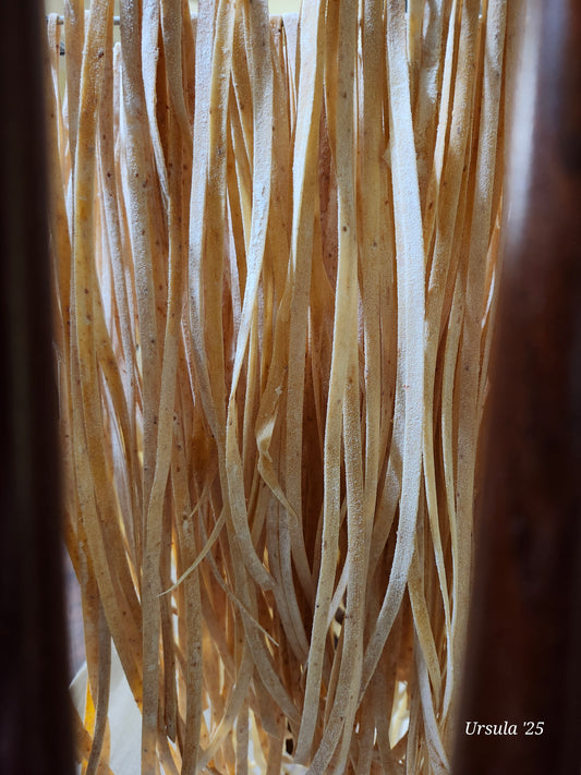 Sundried Tomato, Rough Cut Artisanal Sourdough Pasta, made with quail eggs