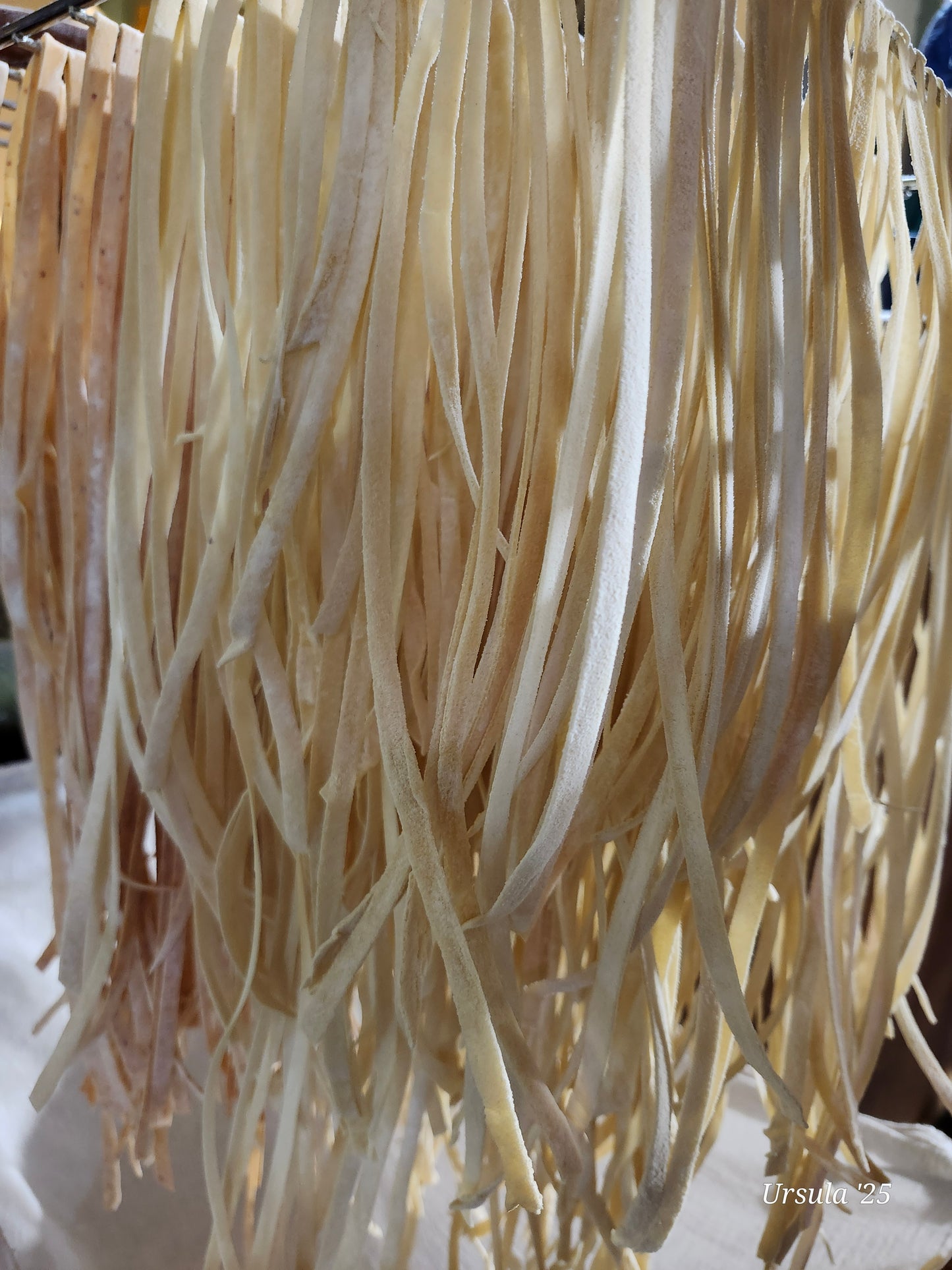 Cracked Pepper, Rough Cut Artisanal Sourdough Pasta, made with quail eggs