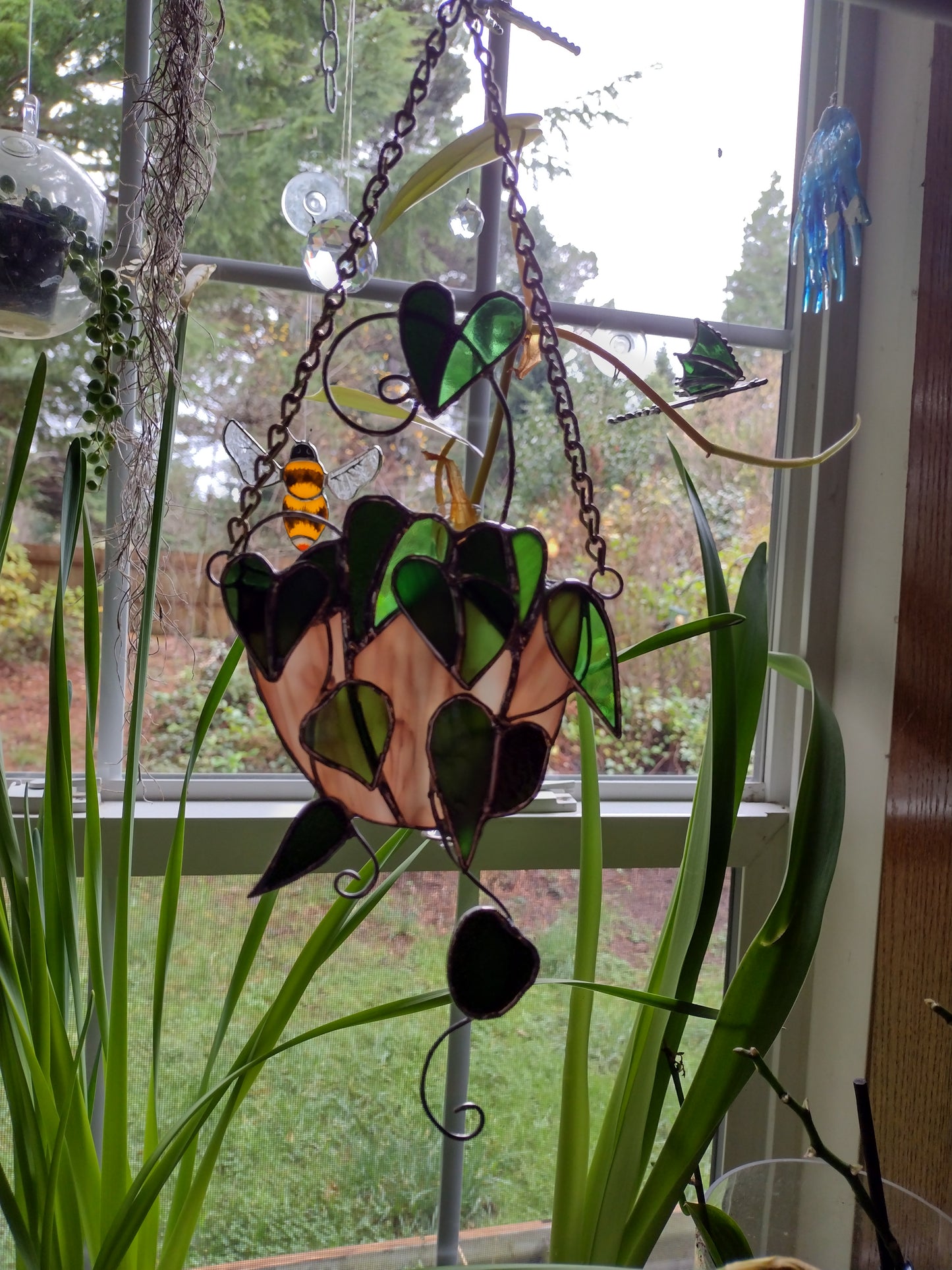Pathos, monstera, ivy, propagation station, bud vase,  Stained Glass suncatcher