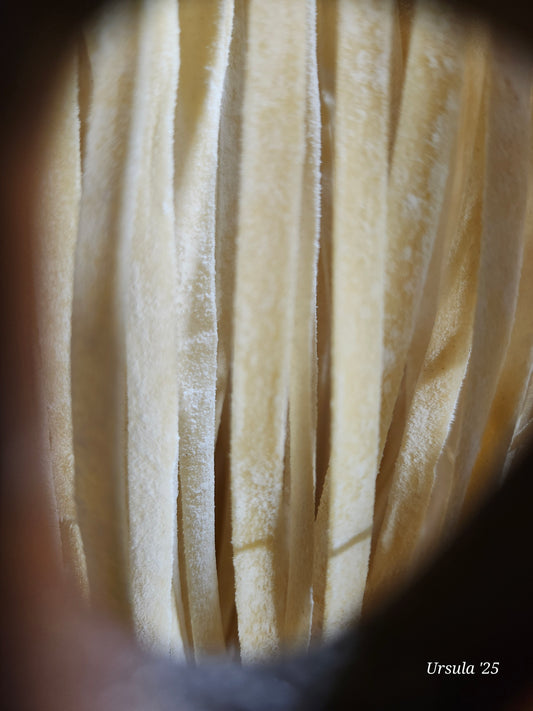 Plain, Rough Cut Artisanal Sourdough Pasta, made with quail eggs