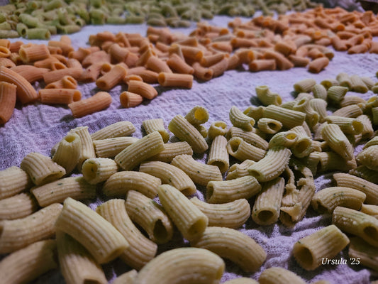Spinach, Rough Cut Artisanal Sourdough Pasta, made with quail eggs