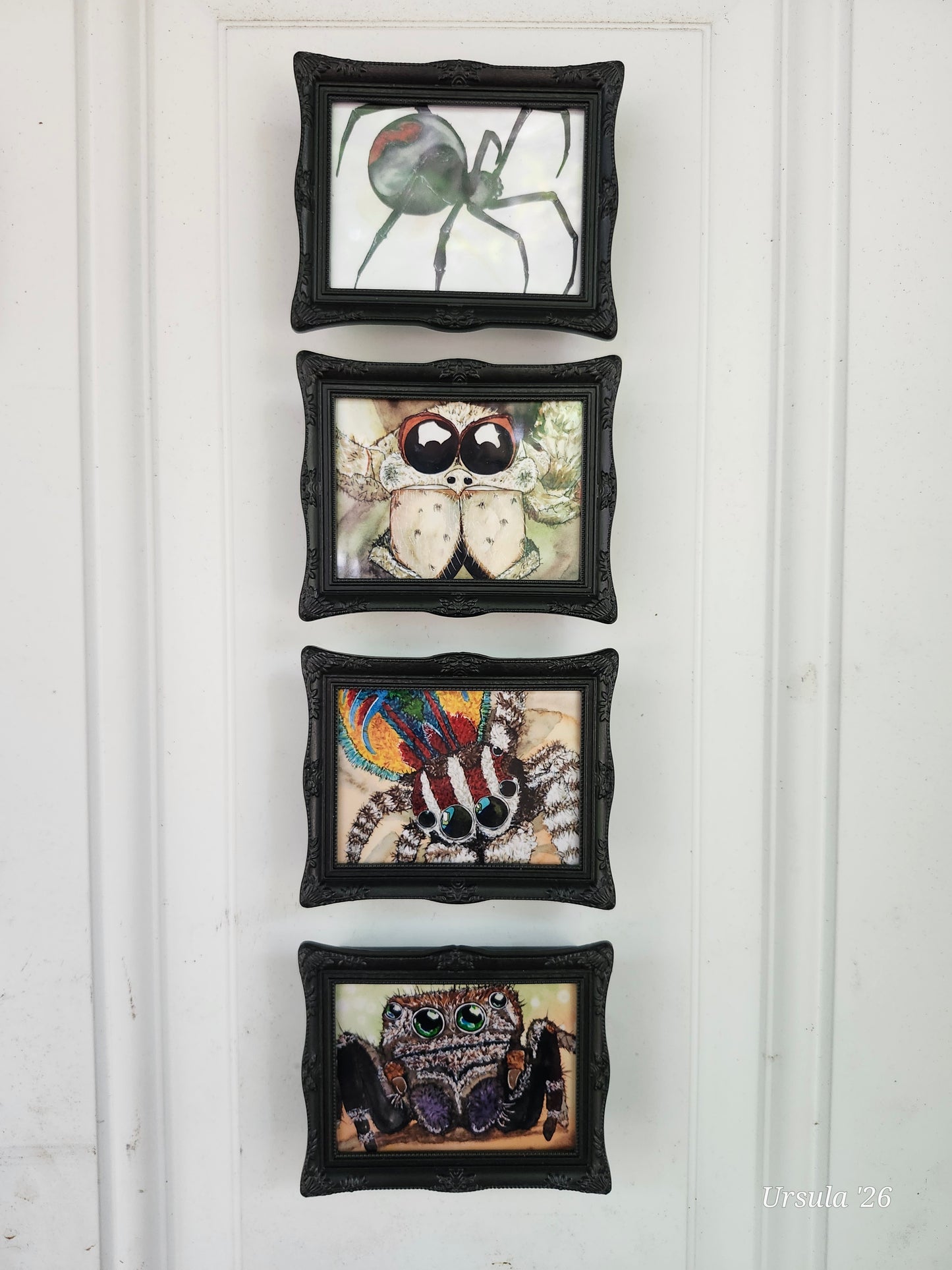 Spider Mini Framed Magnet pack, Set of 4 Original Watercolor Prints