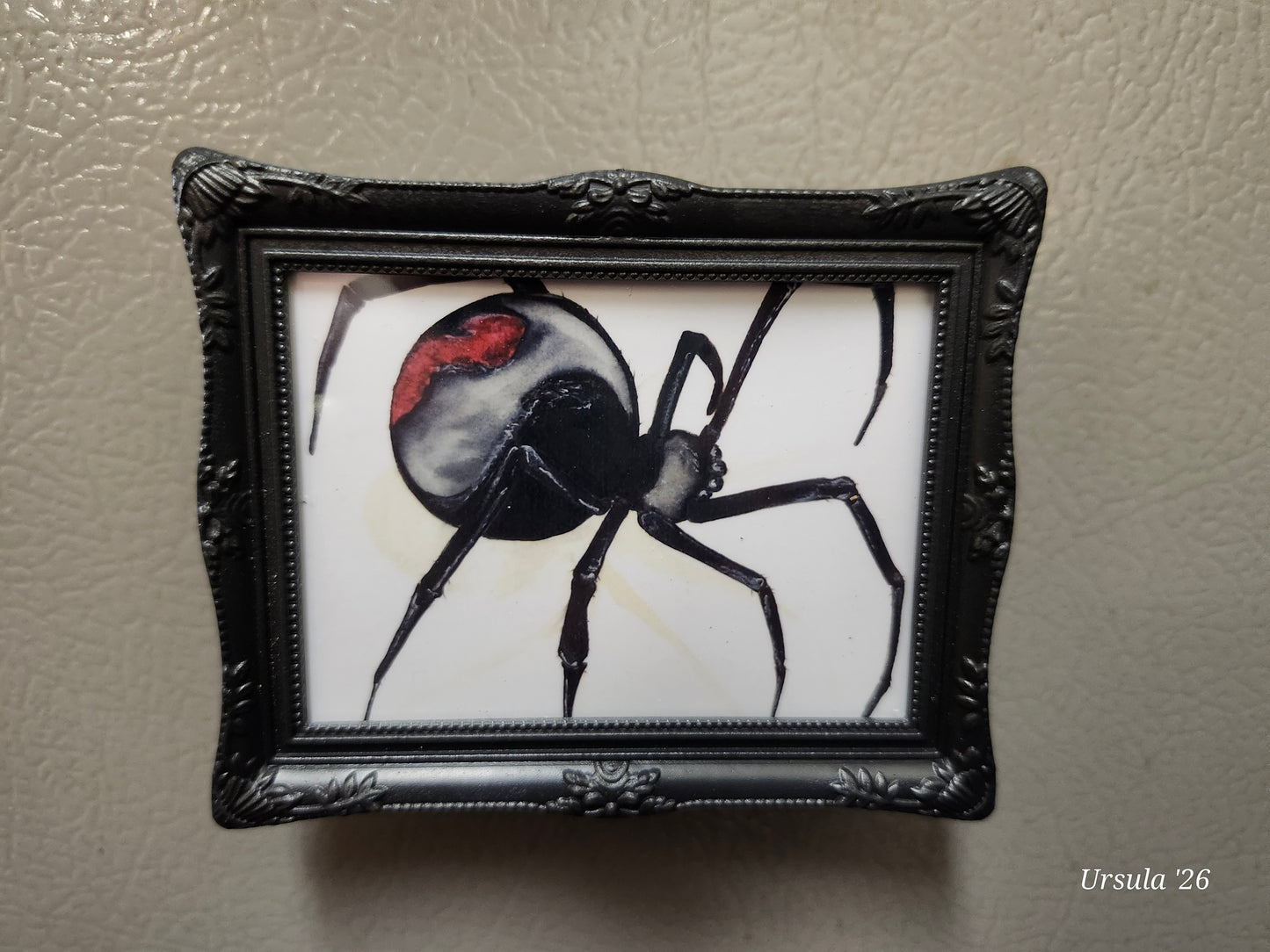 Spider Mini Framed Magnet pack, Set of 4 Original Watercolor Prints