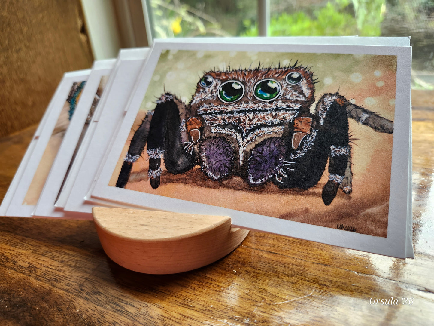 Spider Greeting Card pack, Original Watercolor (4x6 with envelopes)