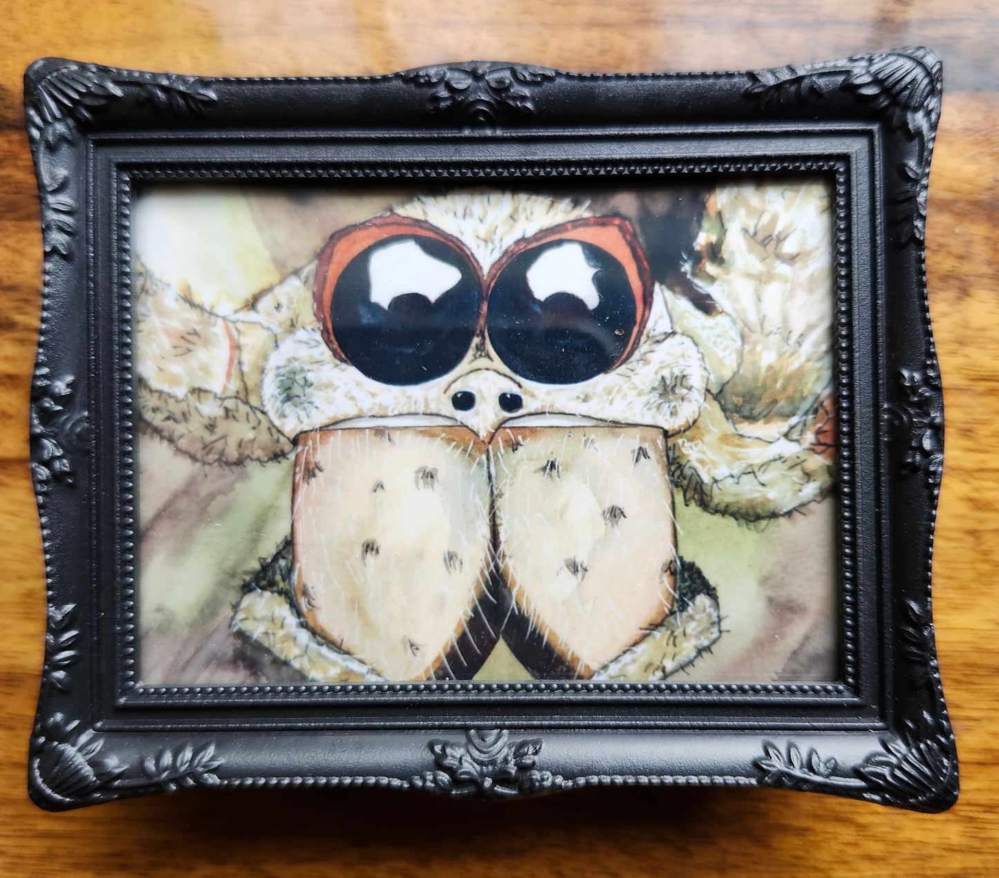 Spider Mini Framed Magnet pack, Set of 4 Original Watercolor Prints