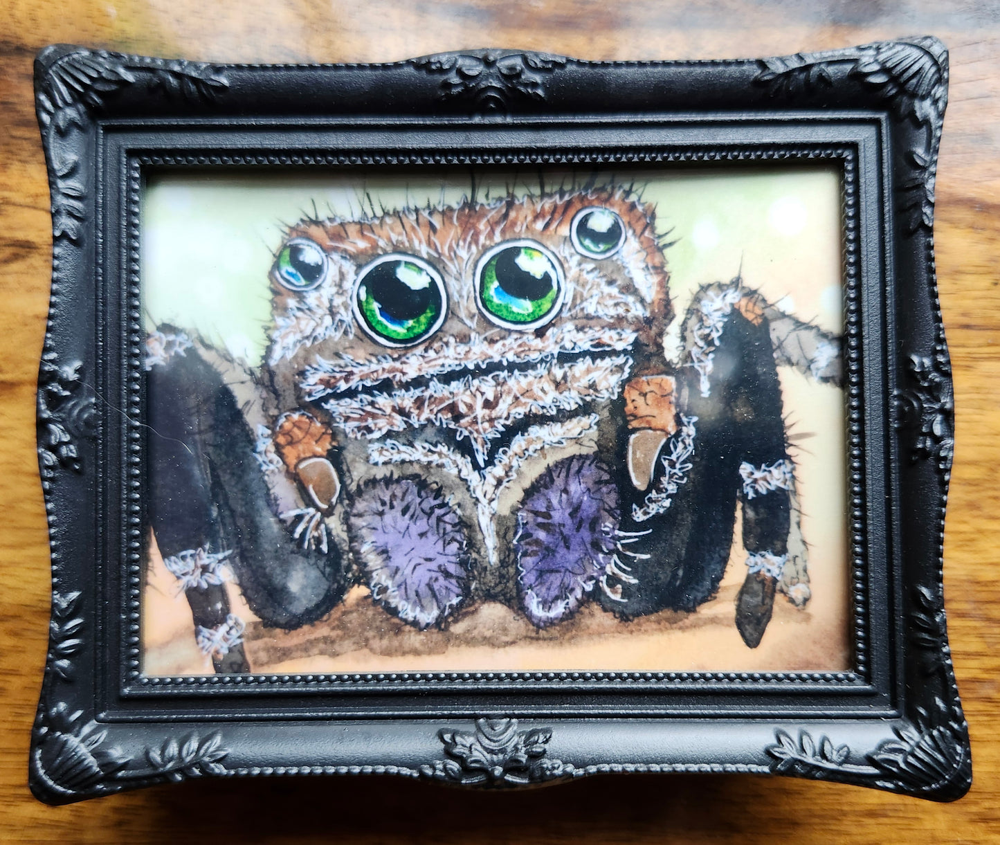 Spider Mini Framed Magnet pack, Set of 4 Original Watercolor Prints