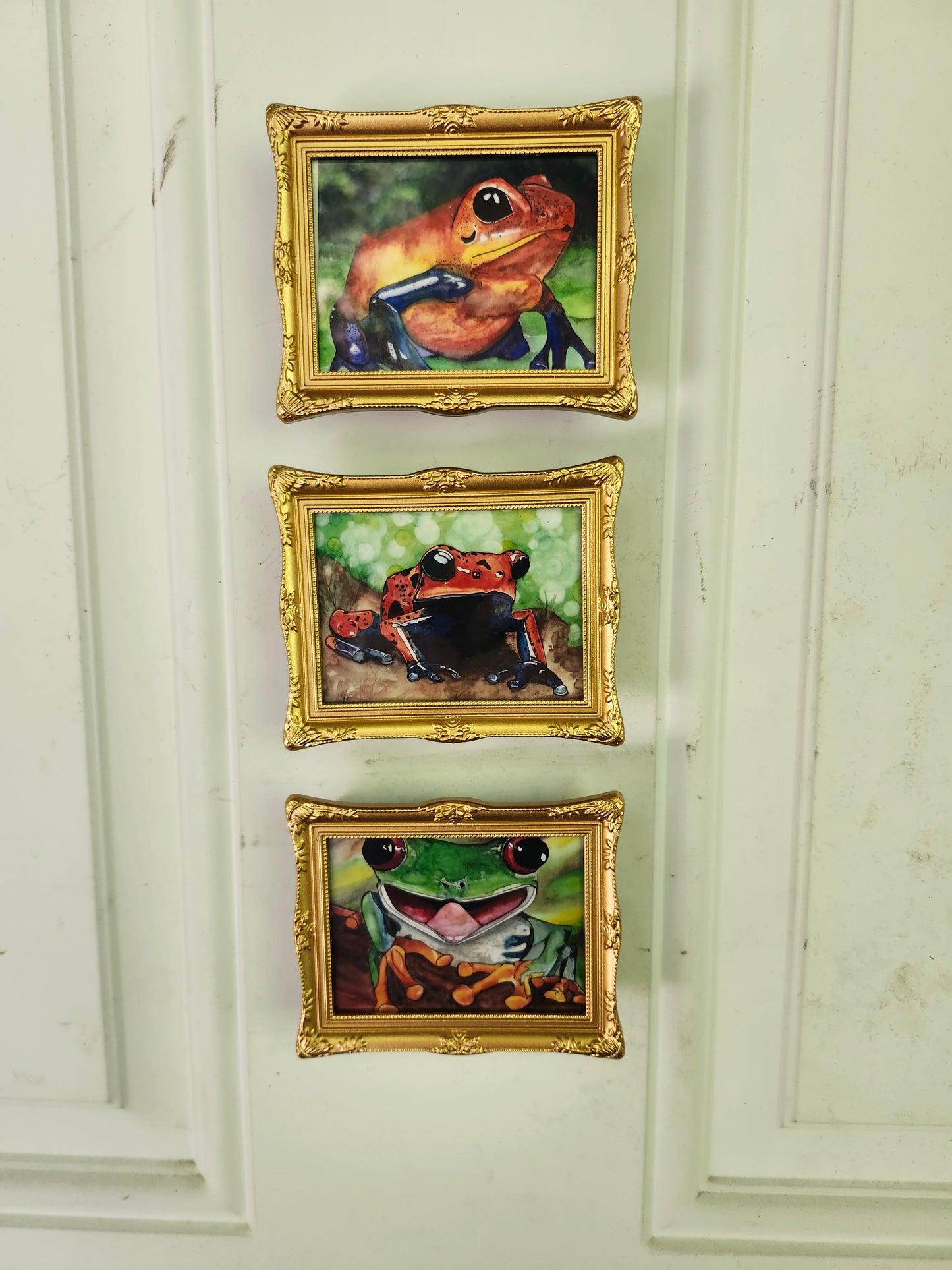 Frog Mini Framed Magnet pack, Set of 3 Original Watercolor Prints