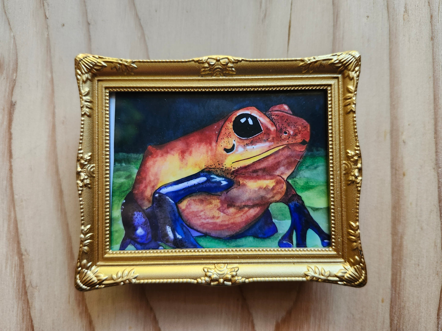 Frog Mini Framed Magnet pack, Set of 3 Original Watercolor Prints