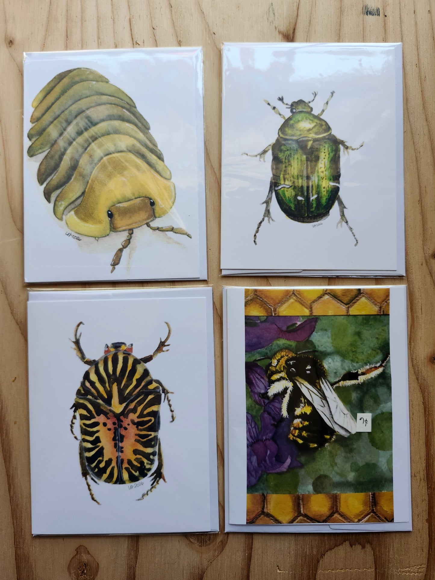 Insect Greeting Card pack, Original Watercolor (4-4x6 cards with envelopes)