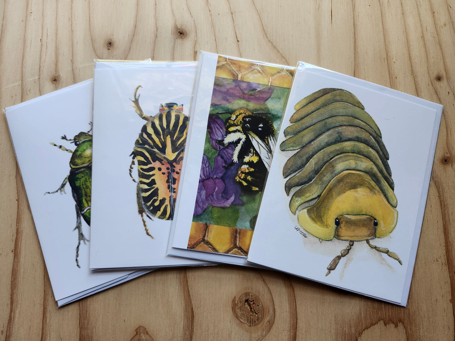 Insect Greeting Card pack, Original Watercolor (4-4x6 cards with envelopes)