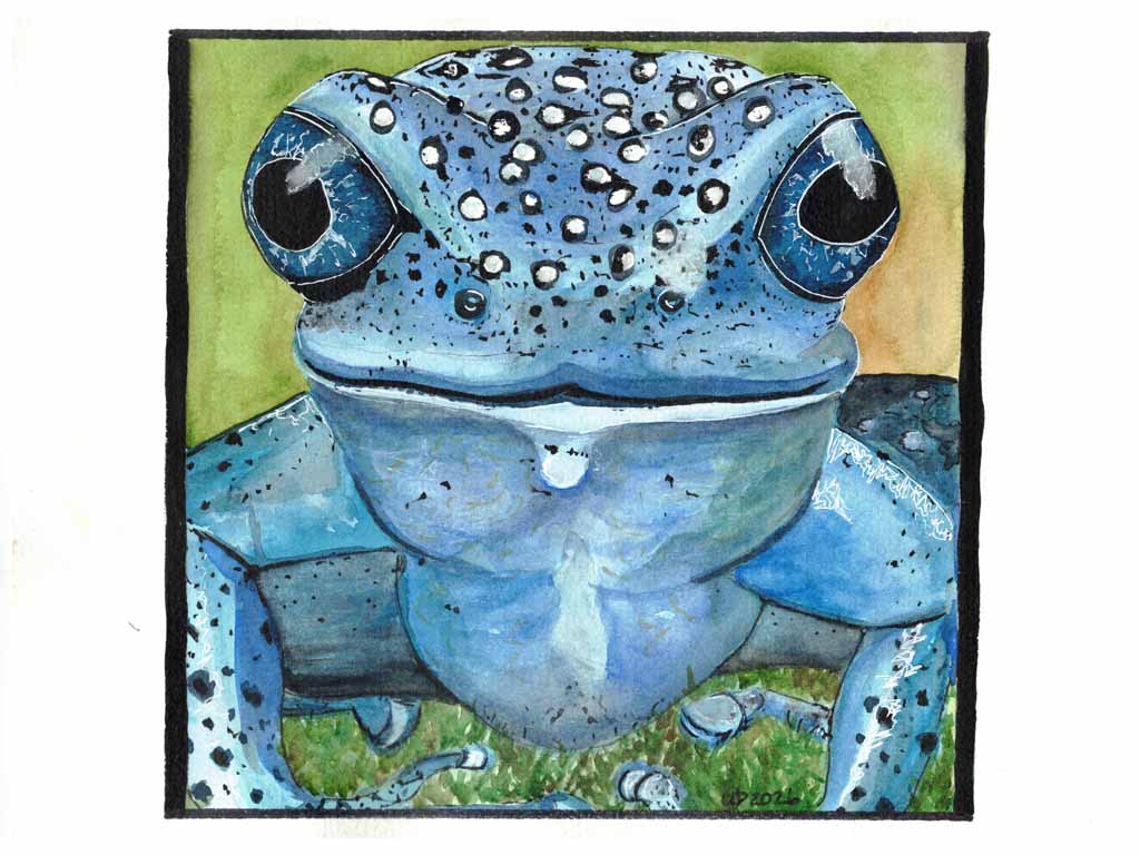 Azure Poison Dart Frog Original watercolor (8x10 Print)