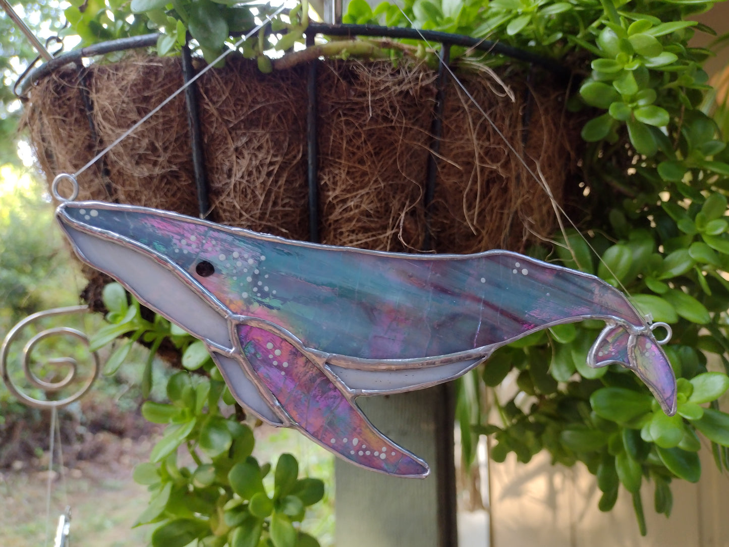 Humpback Whale, Stained Glass suncatcher