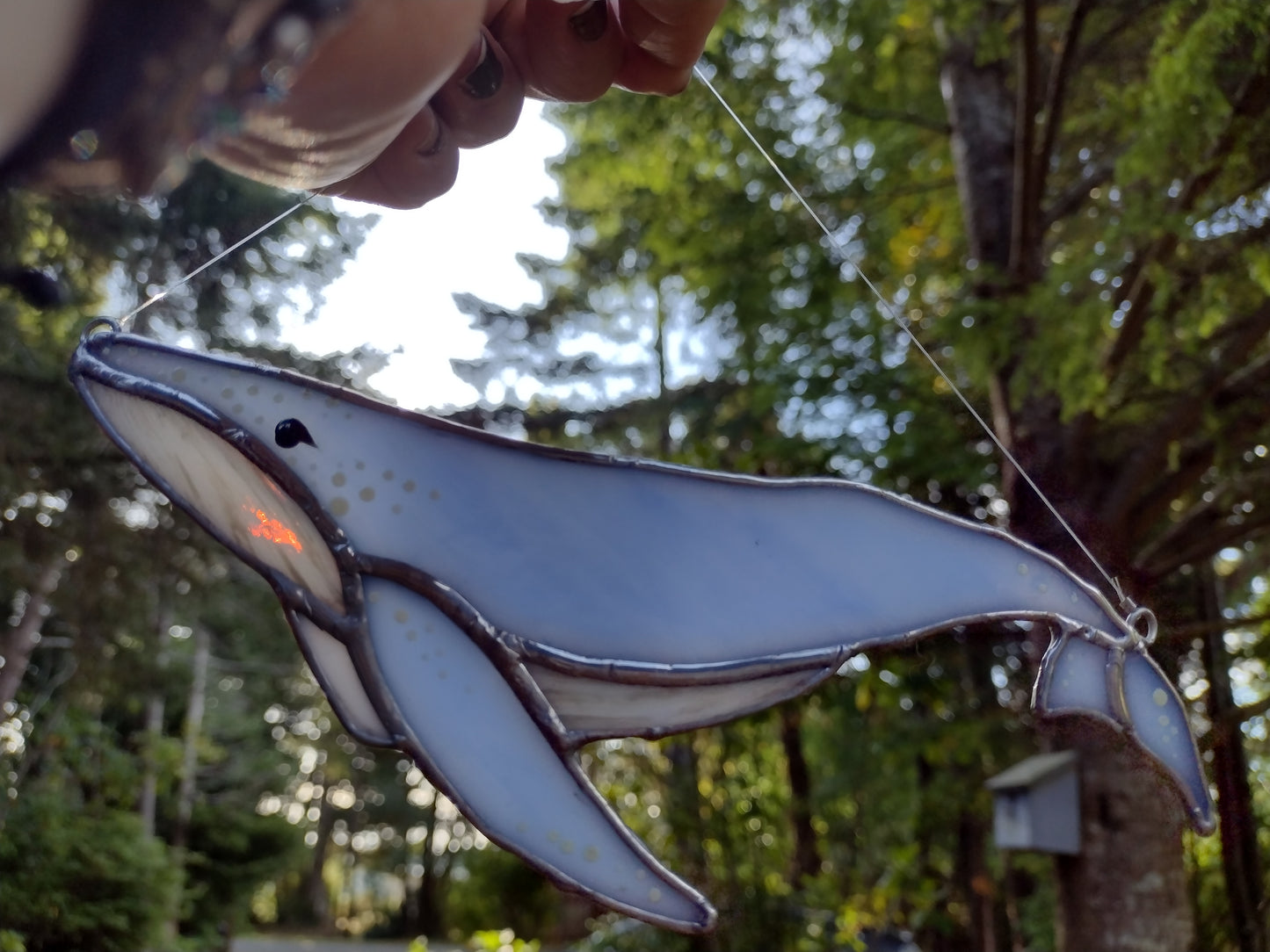 Humpback Whale, Stained Glass suncatcher