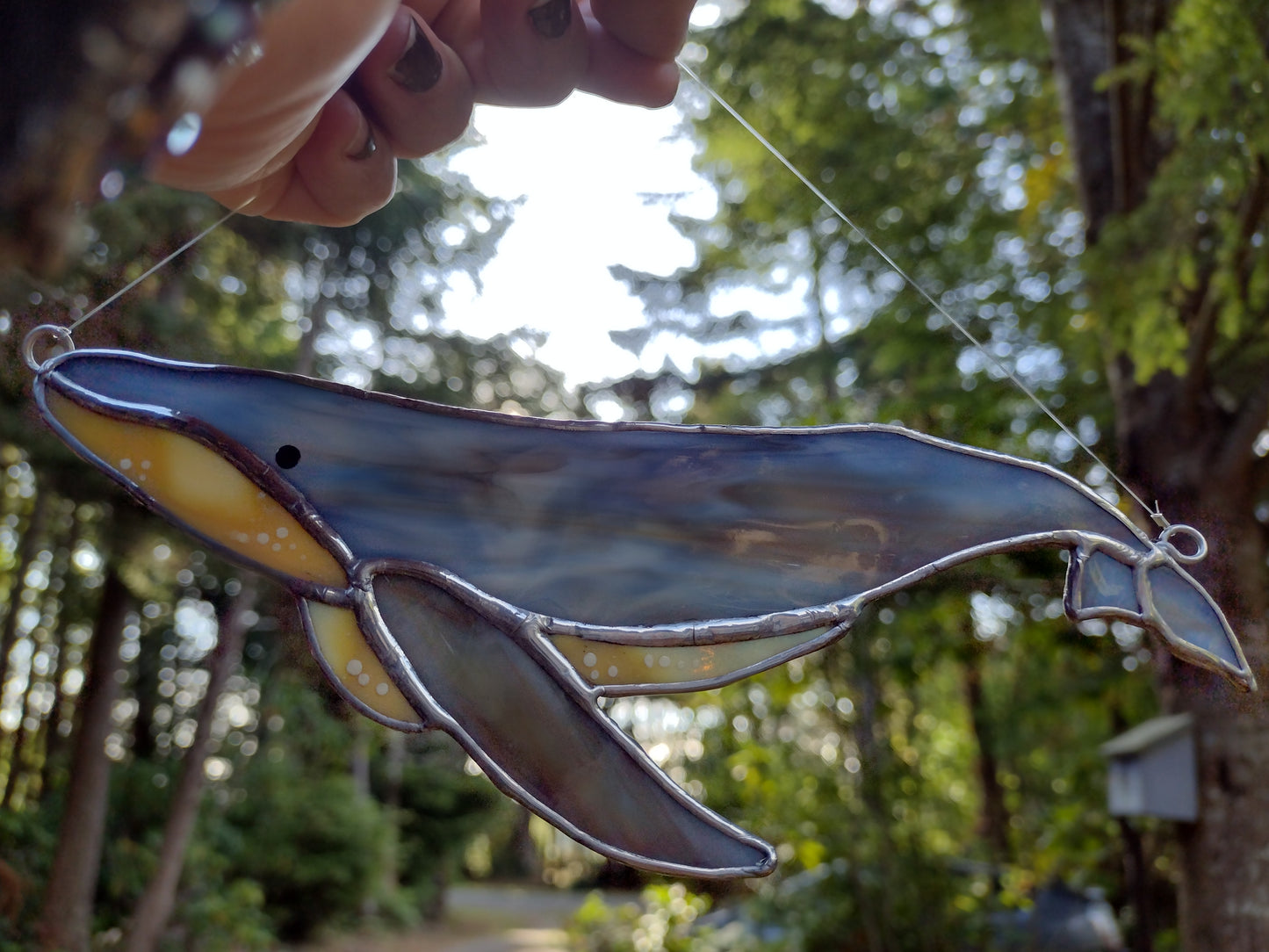 Humpback Whale, Stained Glass suncatcher