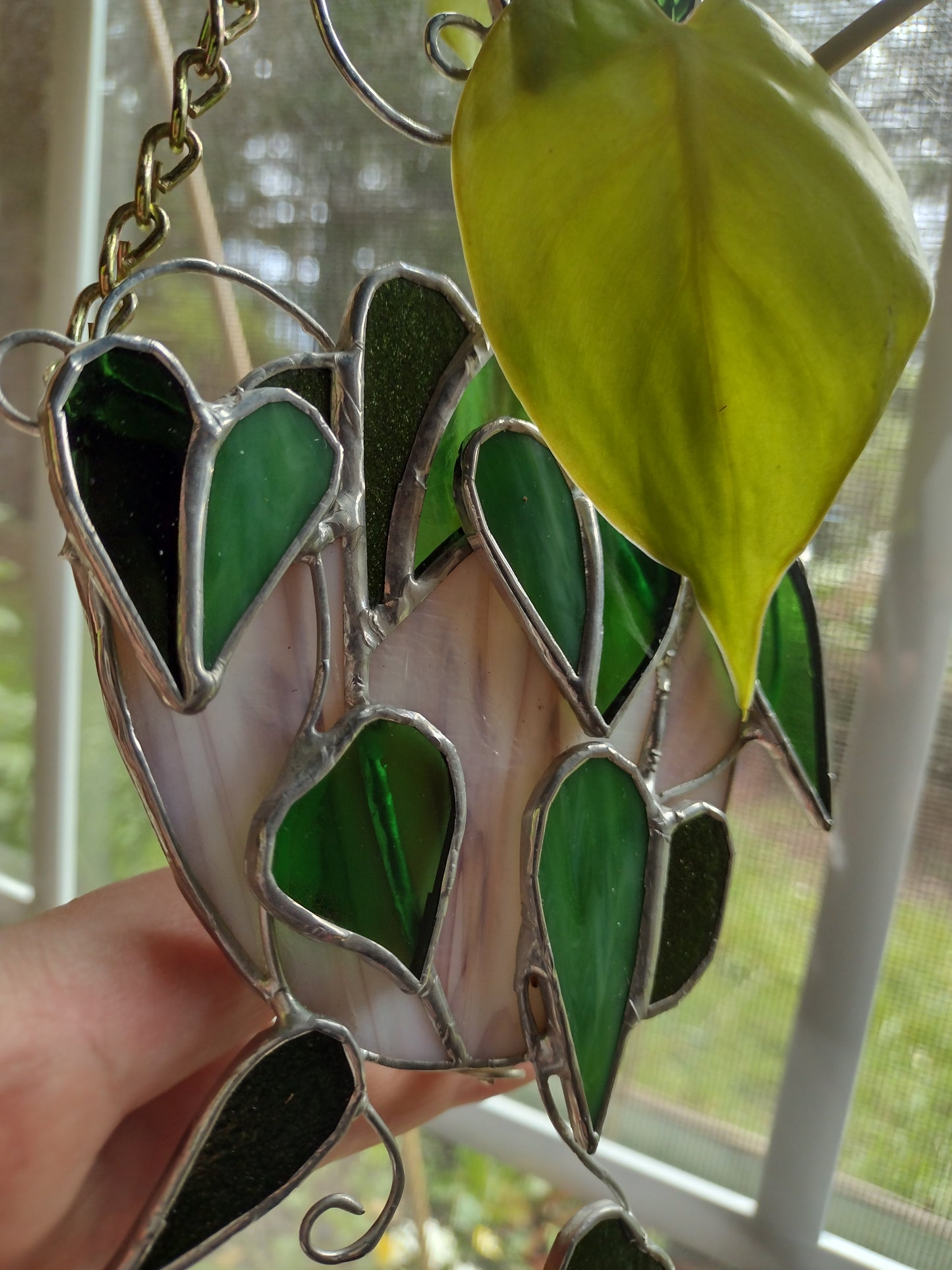 Pathos, monstera, ivy, propagation station, bud vase,  Stained Glass suncatcher