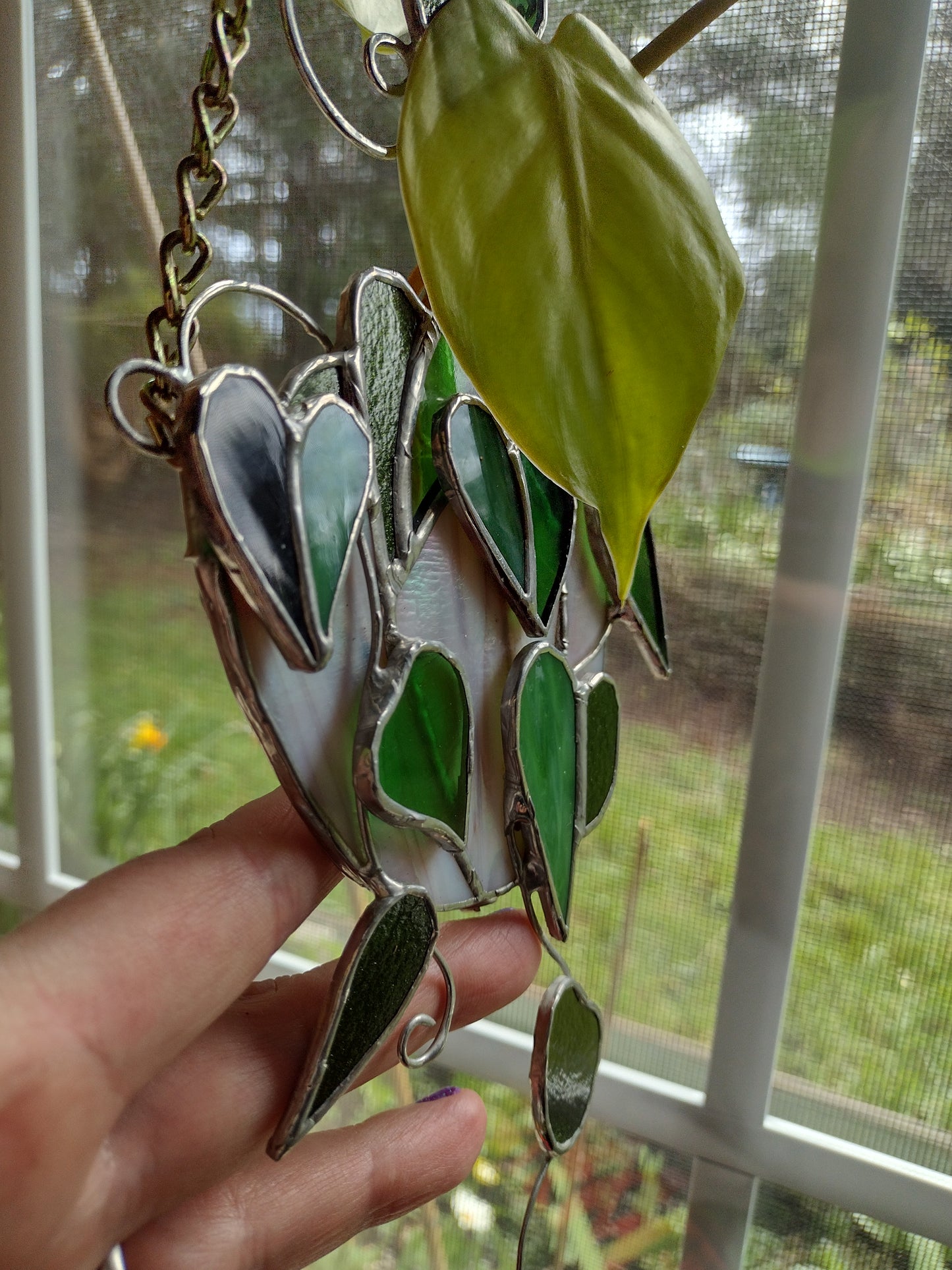 Pathos, monstera, ivy, propagation station, bud vase,  Stained Glass suncatcher