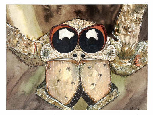 Ogre Spider Original Watercolor, (8x10 Print)