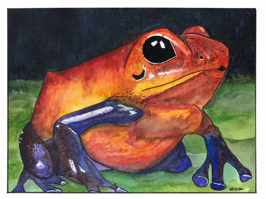 Reticulated Red Poison Dart Frog Original watercolor (8x10 Print)