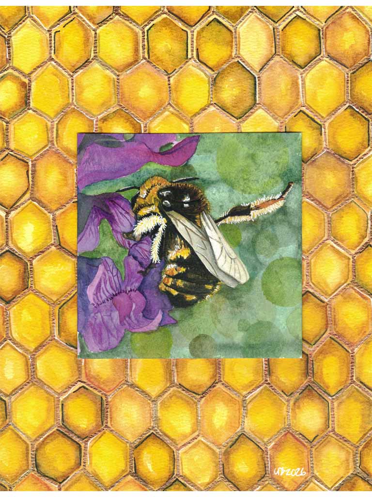 Wool Carder Bee, Original watercolor (8x10 print)